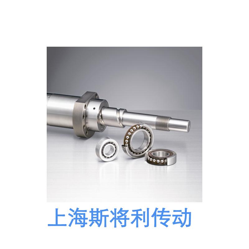 WBK25DF-31H-高载荷机床专用支承单元